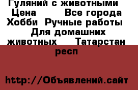 Гуляний с животными › Цена ­ 70 - Все города Хобби. Ручные работы » Для домашних животных   . Татарстан респ.